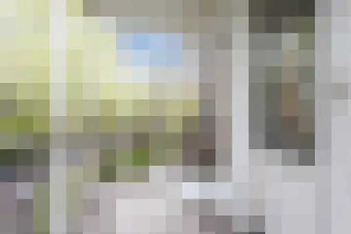 Zeeuwendonk 6 Helmond thumbnail 20
