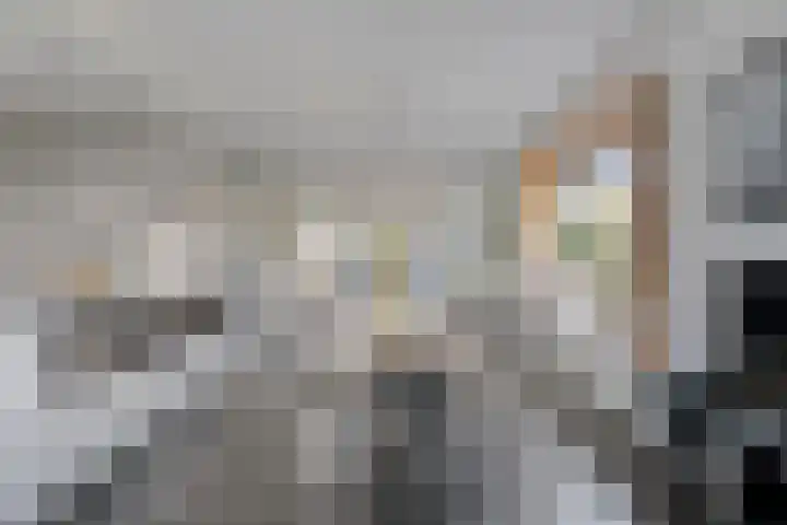 Zeeuwendonk 6 Helmond thumbnail 31