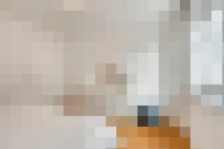 Zeeuwendonk 6 Helmond thumbnail 32