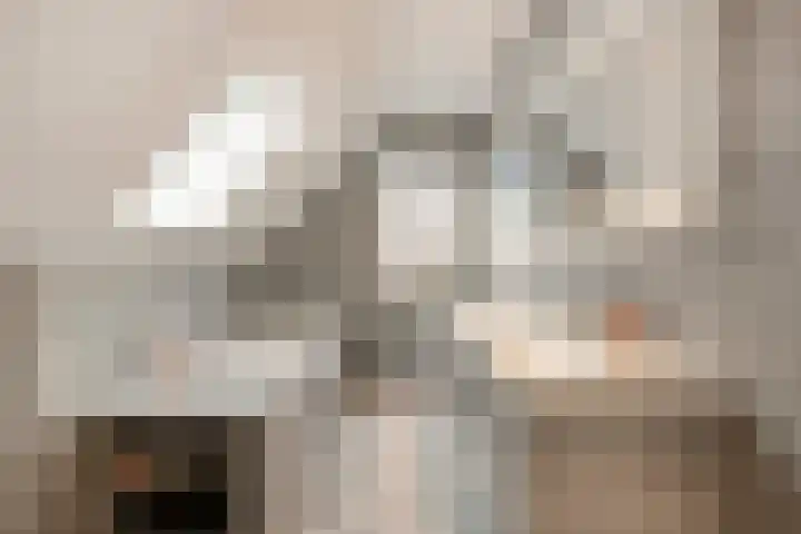 Zeeuwendonk 6 Helmond thumbnail 33