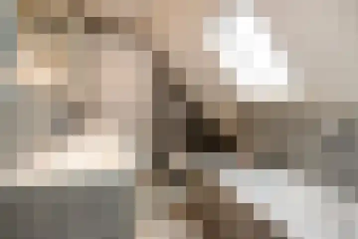 Zeeuwendonk 6 Helmond thumbnail 35