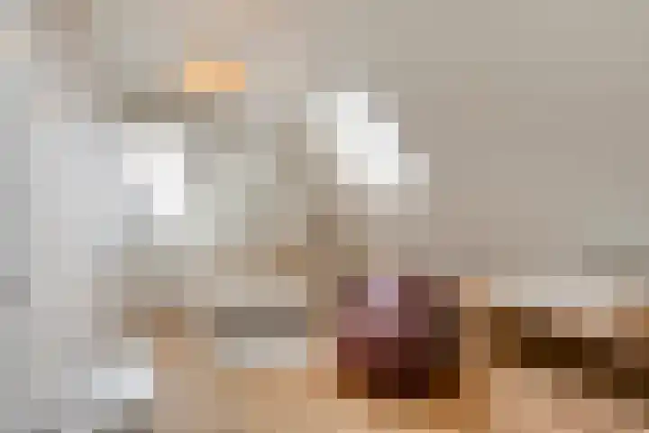 Zeeuwendonk 6 Helmond thumbnail 37