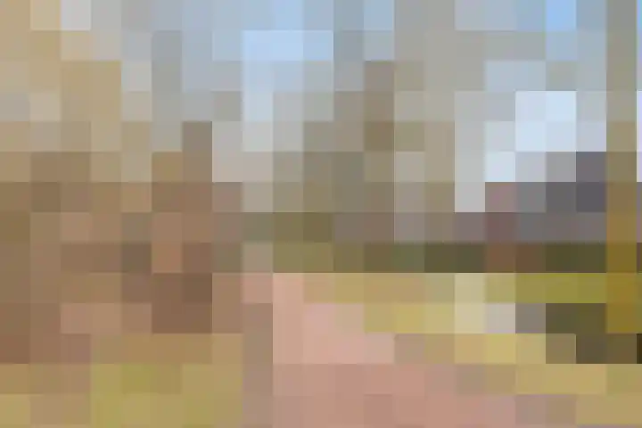 Zeeuwendonk 6 Helmond thumbnail 38