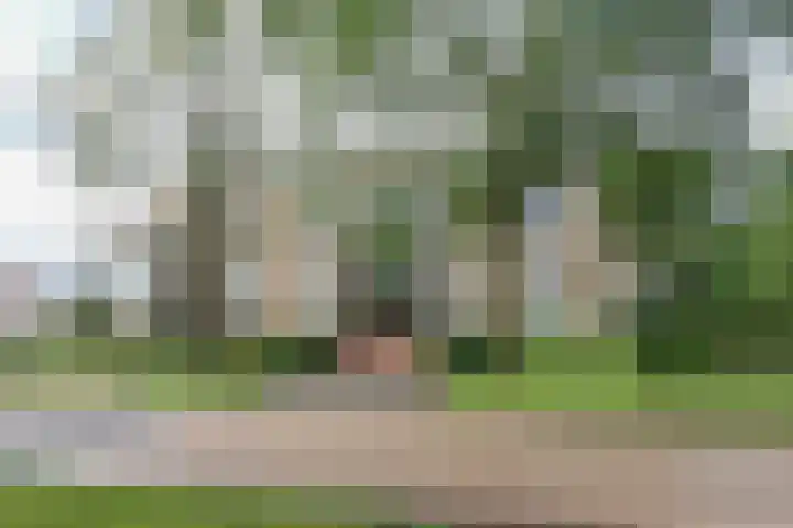 Zeeuwendonk 6 Helmond thumbnail 40