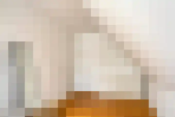 Zeeuwendonk 6 Helmond thumbnail 42