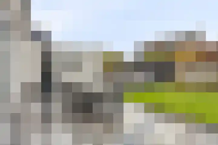 Zeeuwendonk 6 Helmond thumbnail 44