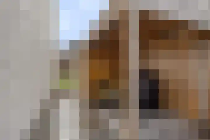 Zeeuwendonk 6 Helmond thumbnail 49