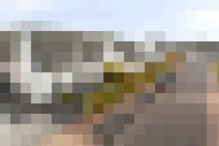 Zeeuwendonk 6 Helmond thumbnail 55