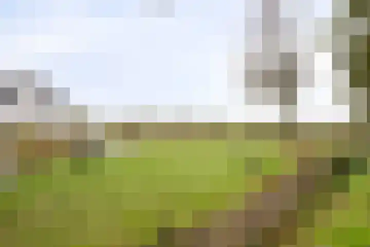 Zeeuwendonk 6 Helmond thumbnail 56