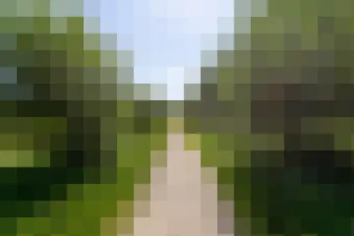Zeeuwendonk 6 Helmond thumbnail 58