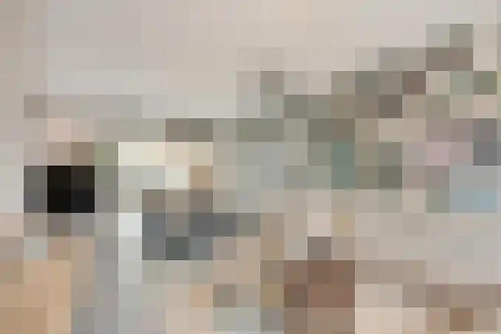 Zeeuwendonk 6 Helmond thumbnail 6