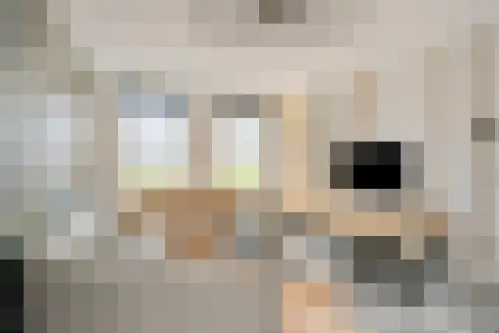 Zeeuwendonk 6 Helmond thumbnail 7