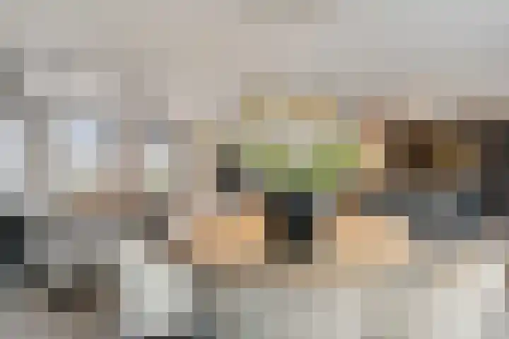 Zeeuwendonk 6 Helmond thumbnail 9