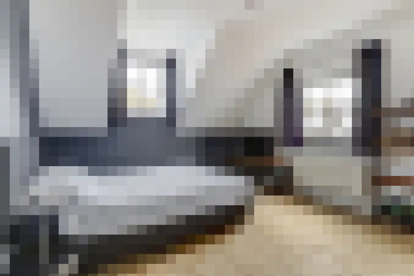 Zeeuwendonk 9 Helmond thumbnail 20