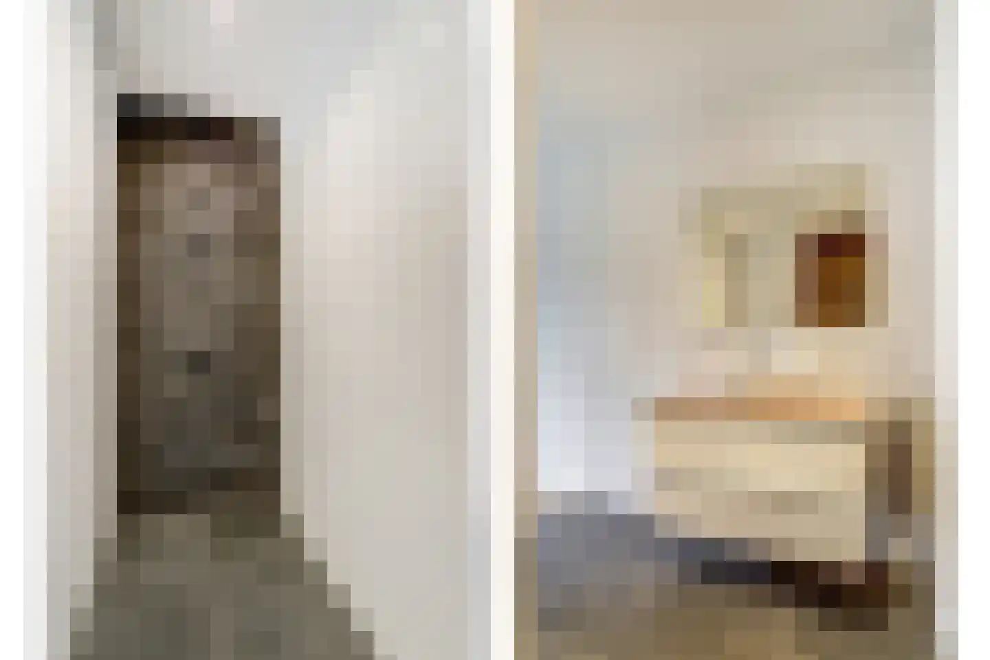 Zeeuwendonk 9 Helmond thumbnail 37