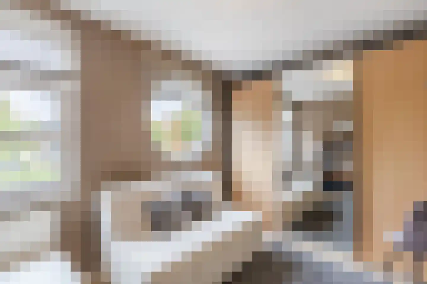 Zeeuwse schouw 28 Papendrecht thumbnail 19