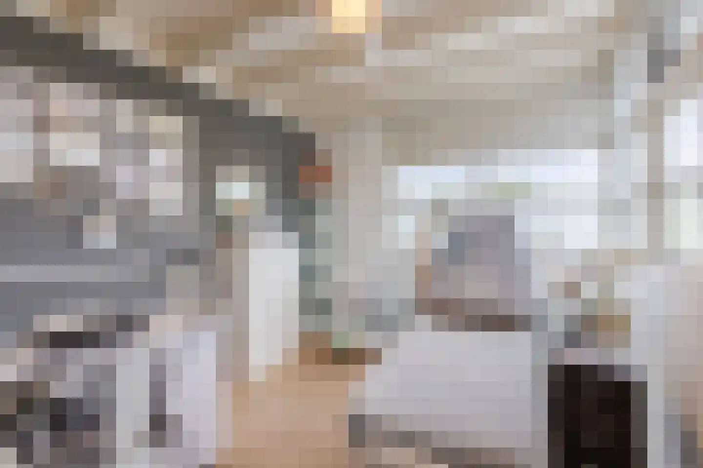 Zeeuwse schouw 28 Papendrecht thumbnail 27