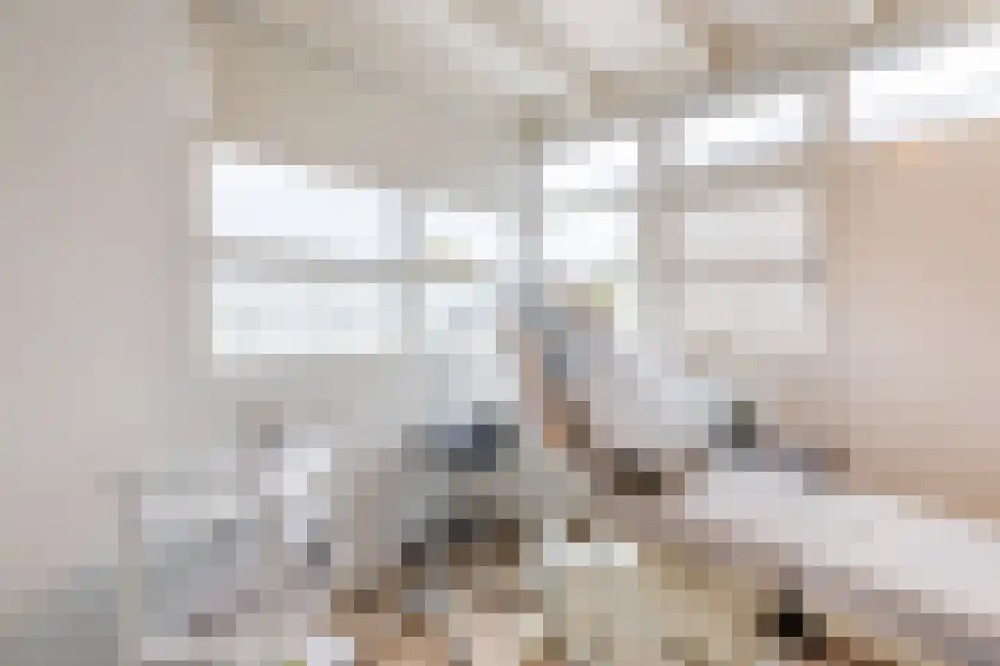 Zeeuwse schouw 28 Papendrecht thumbnail 29