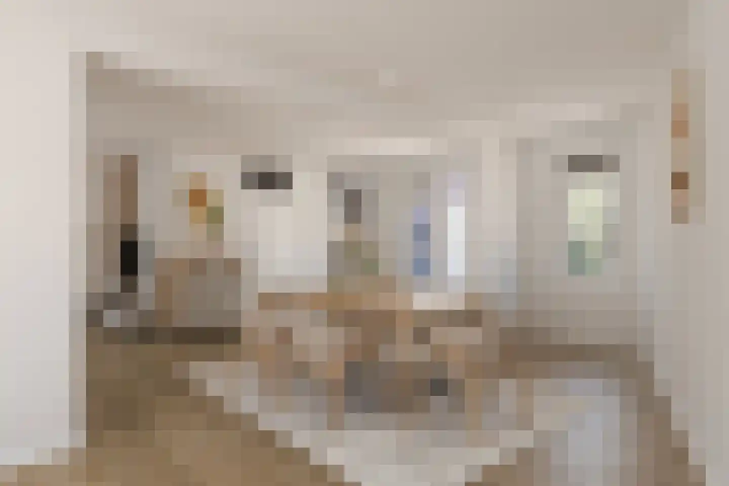 Zeeuwse Steen 3 Wijk bij Duurstede thumbnail 11