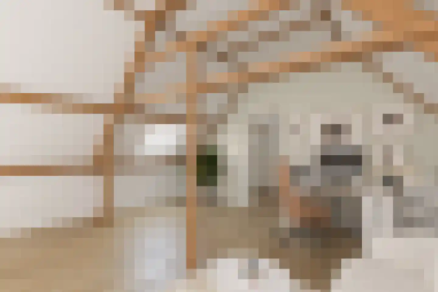 Zeeuwse Steen 3 Wijk bij Duurstede thumbnail 25