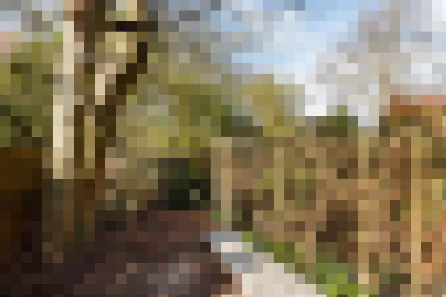Zeeuwse Steen 3 Wijk bij Duurstede thumbnail 29