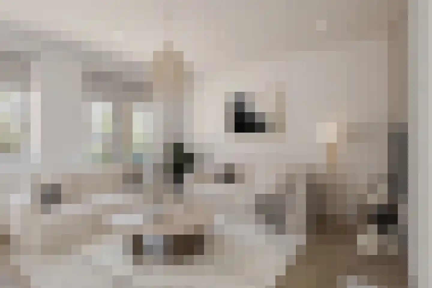 Zeeuwse Steen 3 Wijk bij Duurstede thumbnail 4