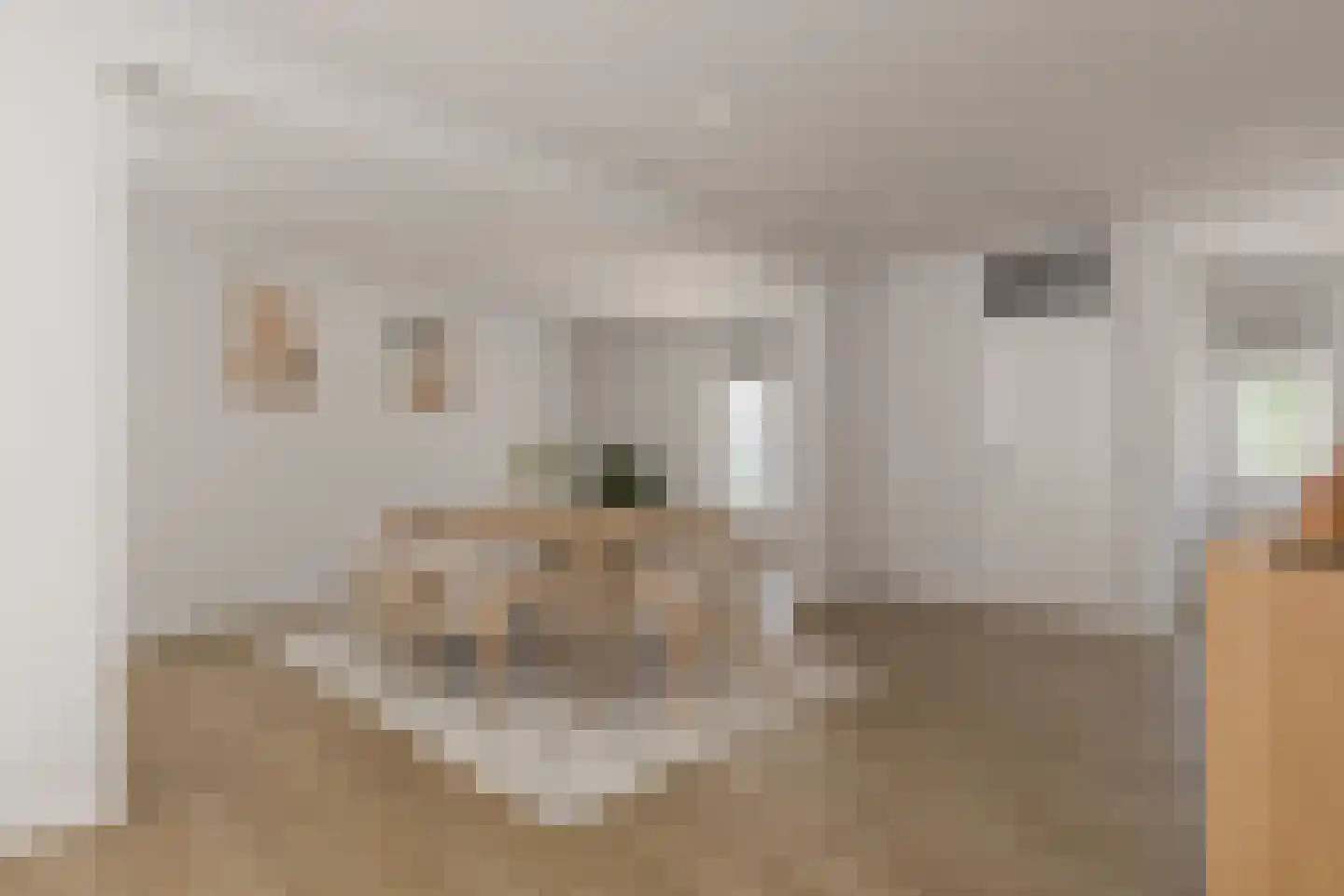 Zeeuwse Steen 3 Wijk bij Duurstede thumbnail 6