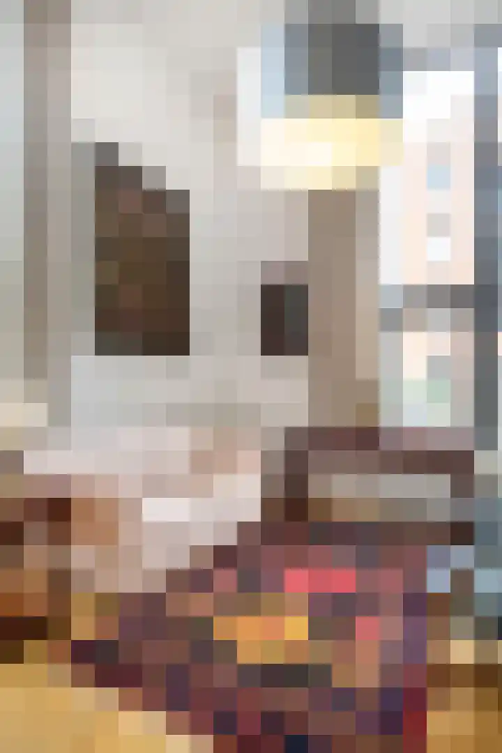 Zeeuwsestraat 32 Amersfoort thumbnail 22