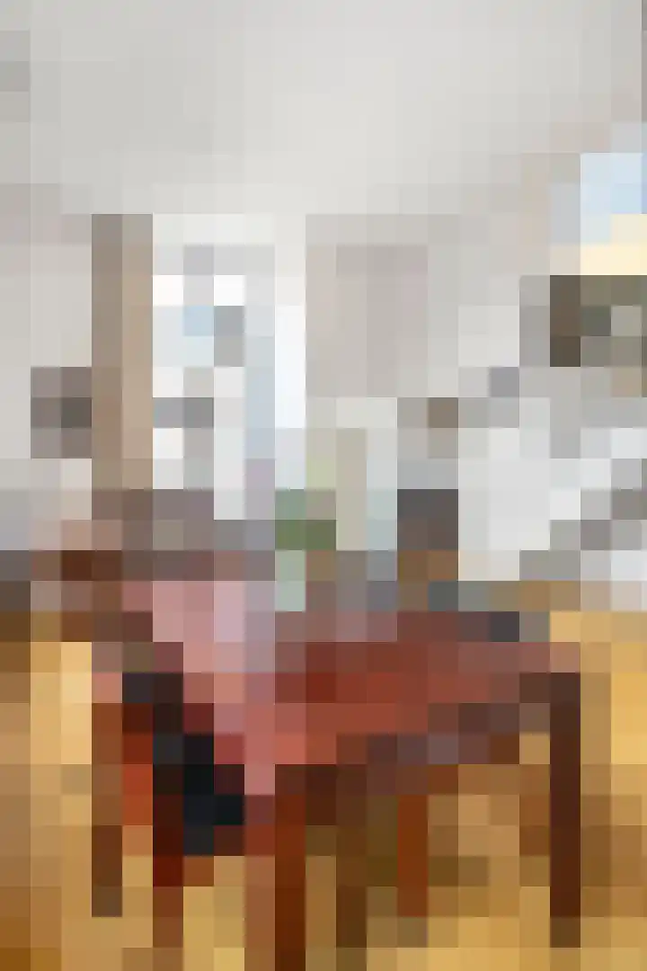 Zeeuwsestraat 32 Amersfoort thumbnail 23