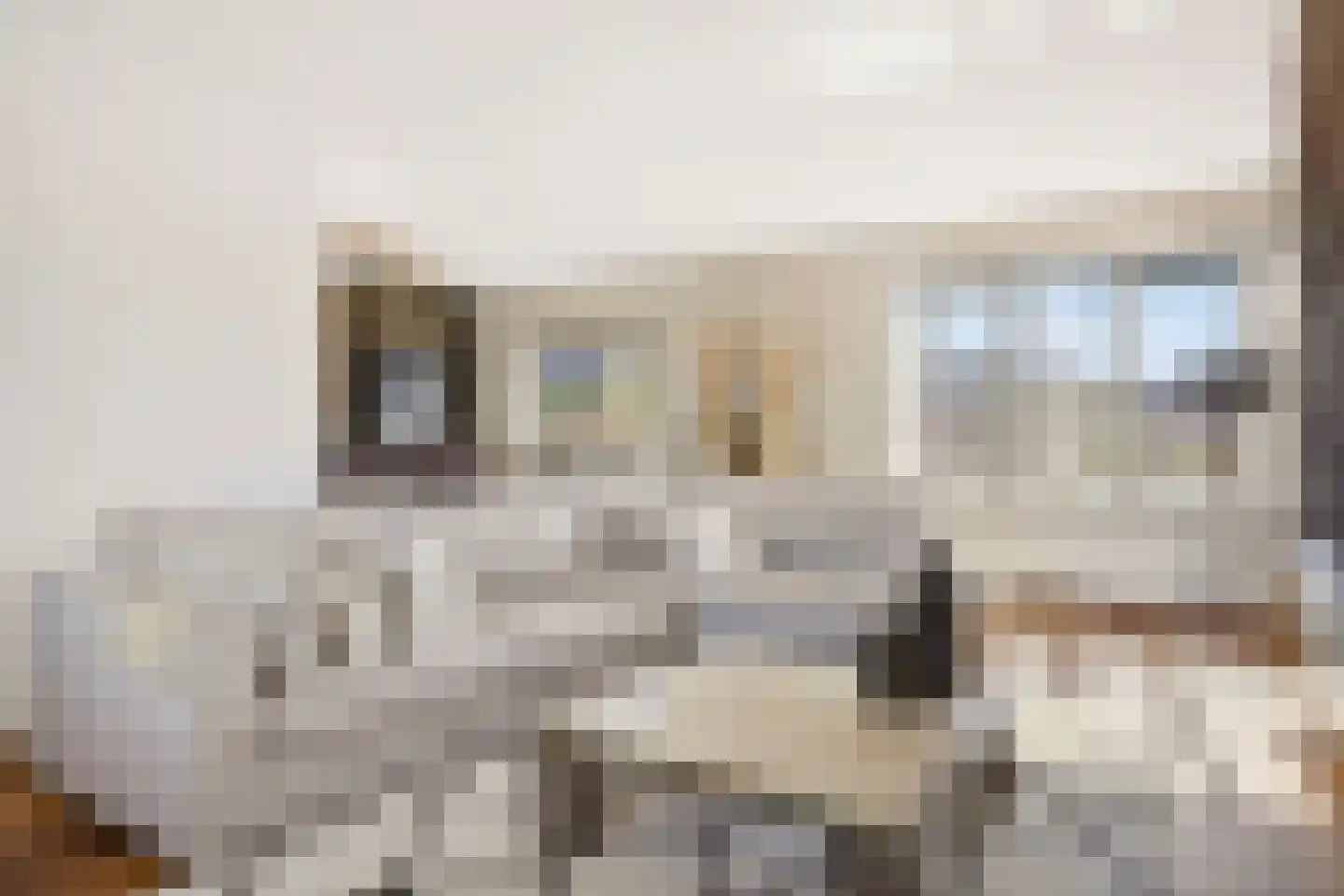 Zeevaart 295 Arnhem thumbnail 17