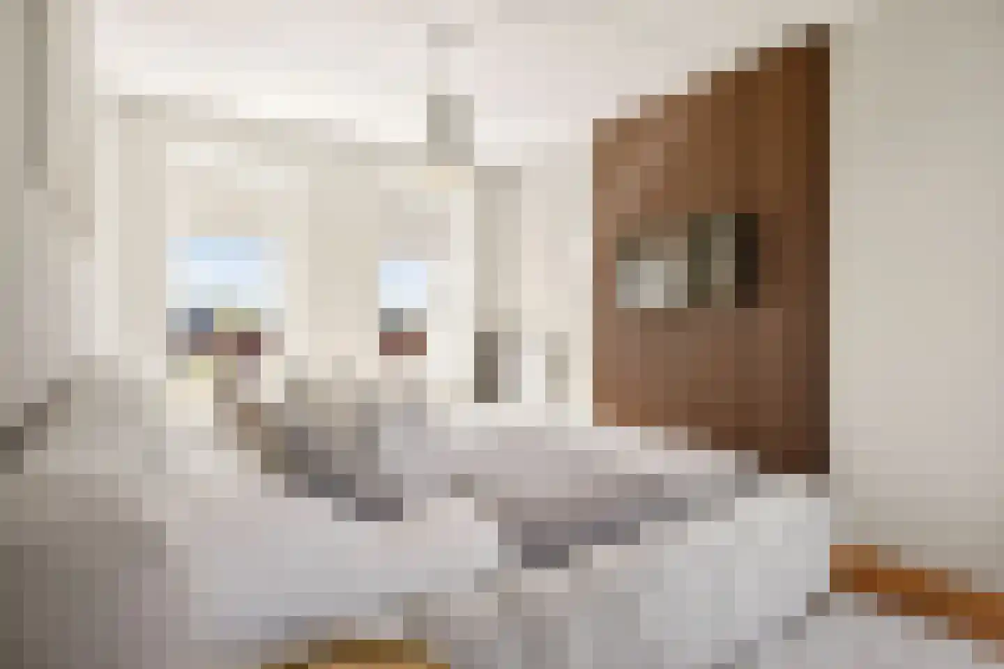 Zeevaart 295 Arnhem thumbnail 23
