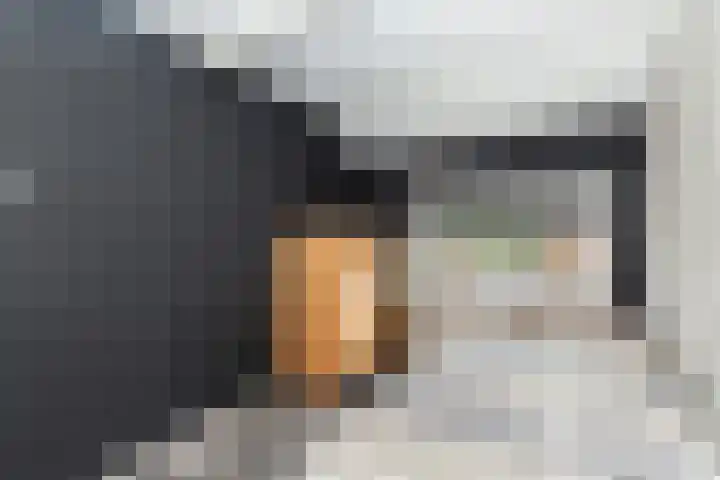 Zeevaartstraat 16 Alblasserdam thumbnail 21
