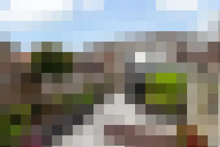 Zeevaartstraat 16 Alblasserdam thumbnail 35