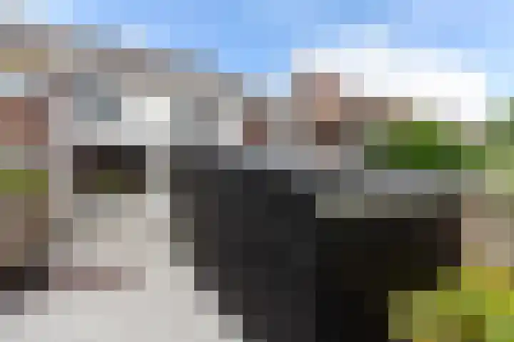Zeevaartstraat 16 Alblasserdam thumbnail 36