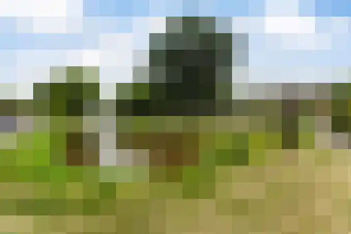 Zeevaartstraat 16 Alblasserdam thumbnail 38