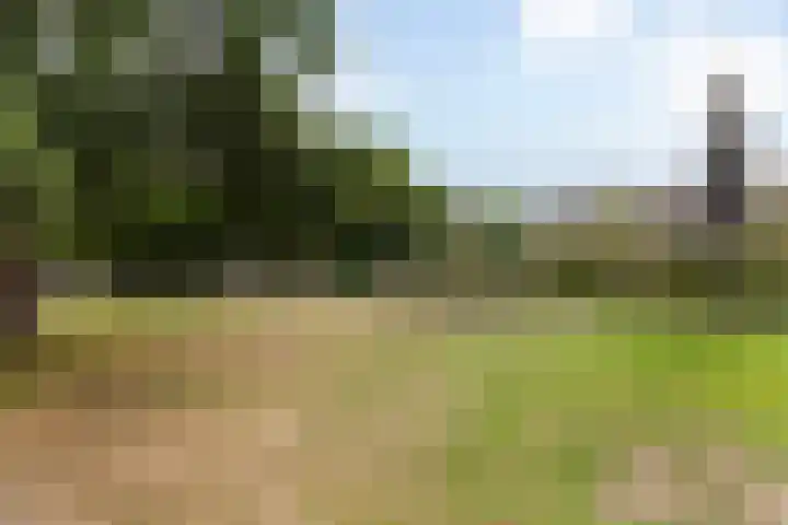 Zeevaartstraat 16 Alblasserdam thumbnail 39