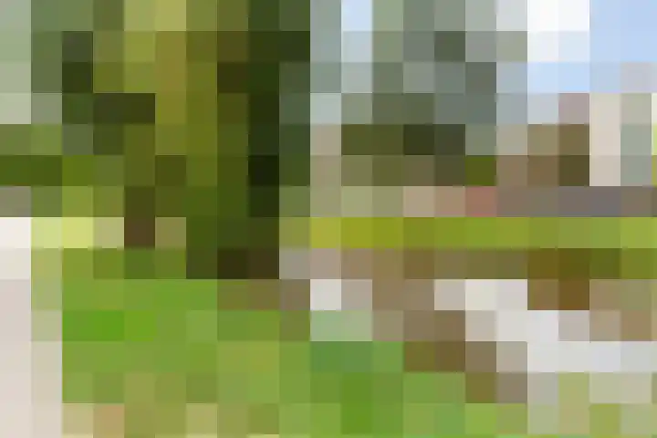 Zeevaartstraat 16 Alblasserdam thumbnail 41