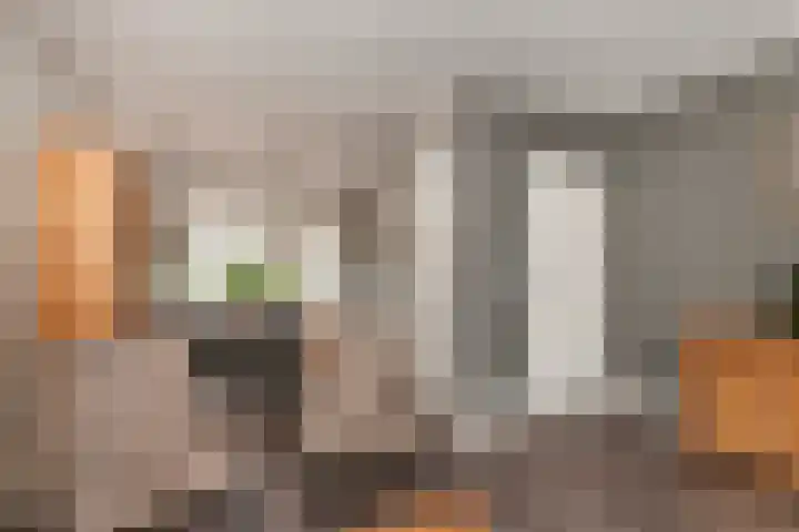 Zeevaartstraat 58 Alblasserdam thumbnail 7