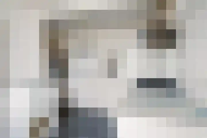 Zeevangszeedijk 8 Edam thumbnail 12