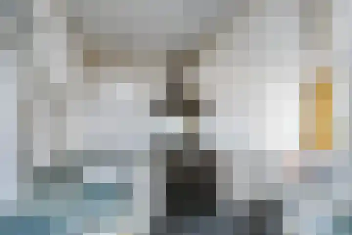 Zeevangszeedijk 8 Edam thumbnail 14