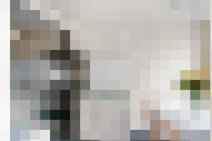 Zeevangszeedijk 8 Edam thumbnail 15