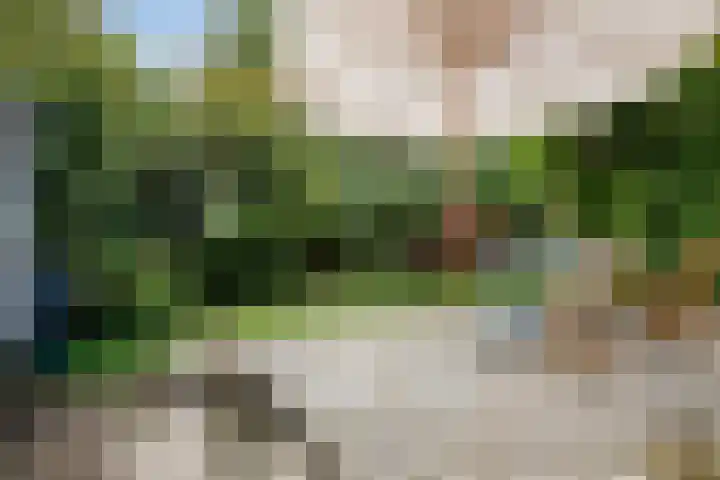 Zeevangszeedijk 8 Edam thumbnail 16