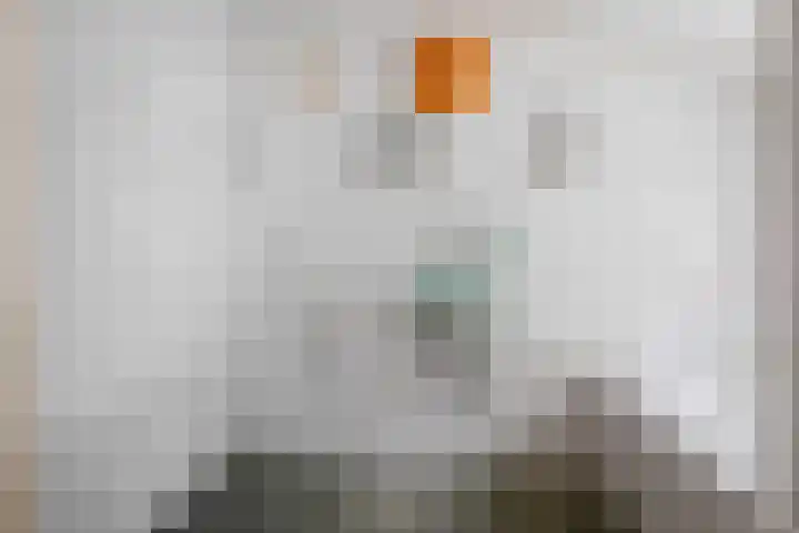 Zeevangszeedijk 8 Edam thumbnail 17