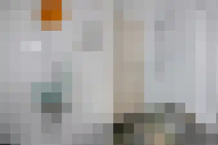 Zeevangszeedijk 8 Edam thumbnail 19