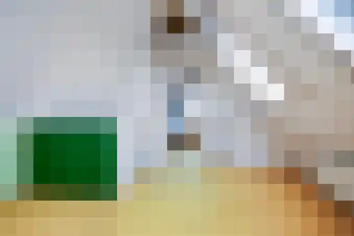 Zeevangszeedijk 8 Edam thumbnail 22