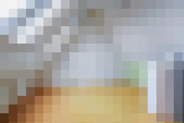 Zeevangszeedijk 8 Edam thumbnail 23