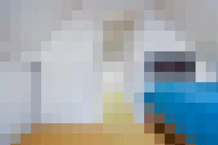Zeevangszeedijk 8 Edam thumbnail 24