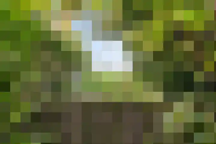 Zeevangszeedijk 8 Edam thumbnail 32