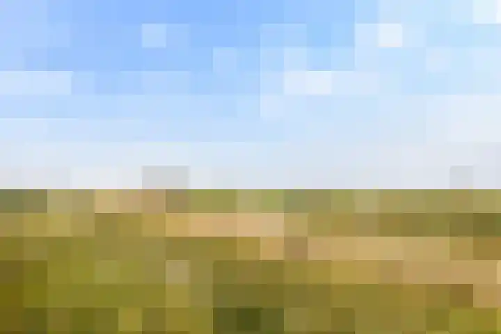 Zeevangszeedijk 8 Edam thumbnail 33