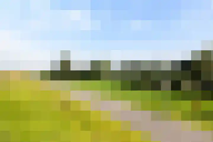 Zeevangszeedijk 8 Edam thumbnail 34